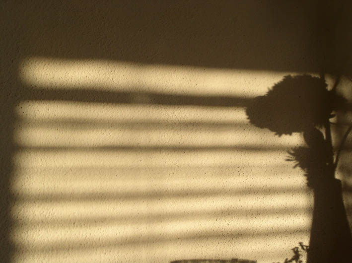 P1010004