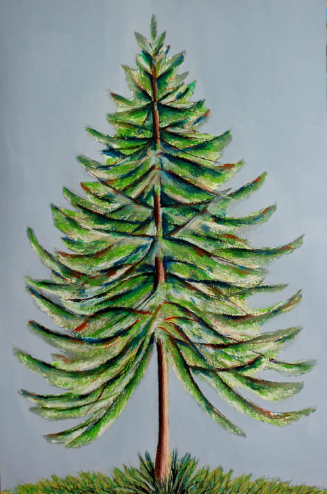 strom (12)
